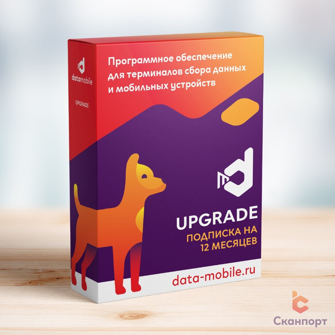 DataMobile Upgrade – подписка на 12 месяцев