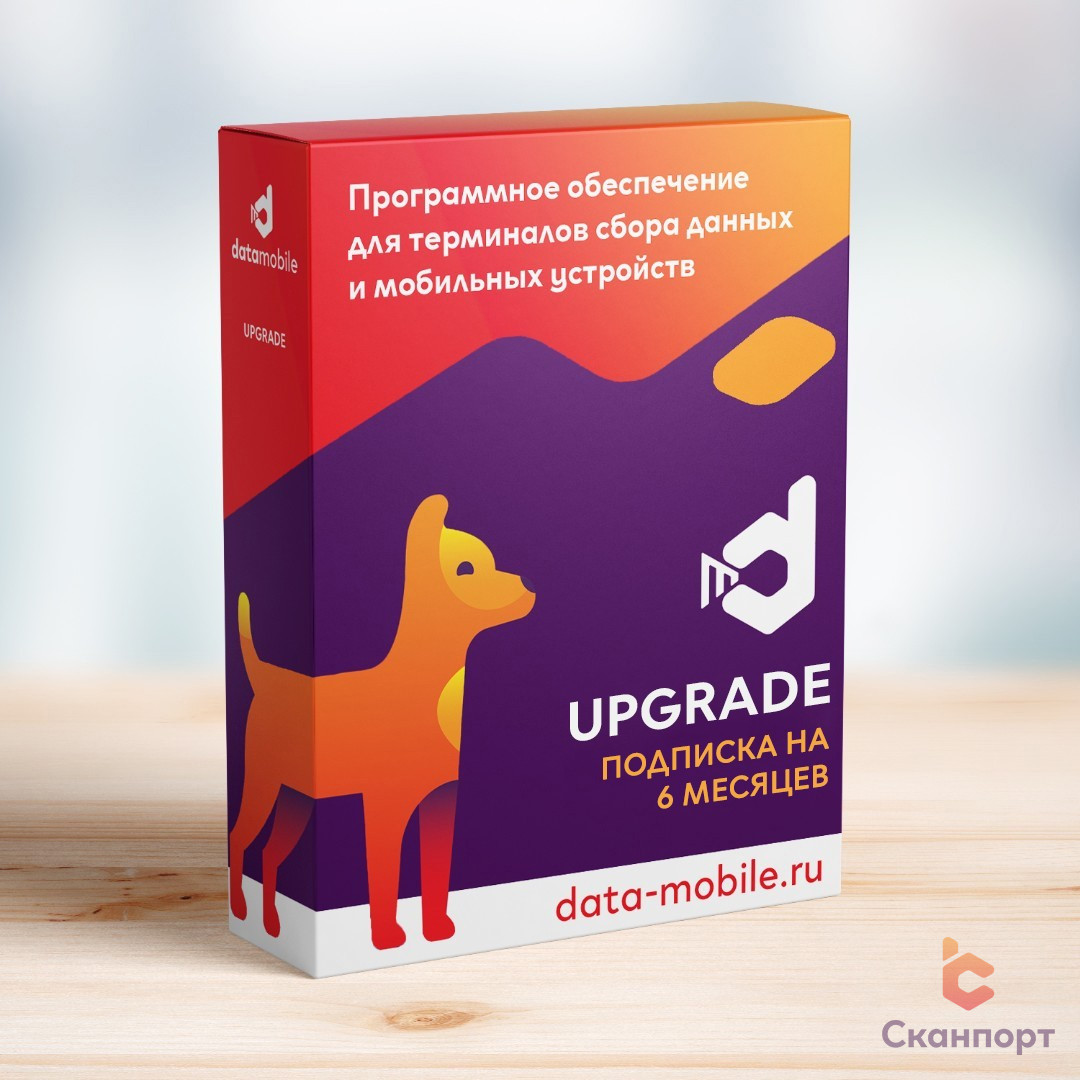 DataMobile Upgrade – подписка на 6 месяцев